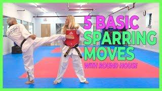5 Basic Sparring Moves with Round House 4K
