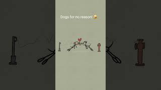 Dogs for no reason  4k memes  #shorts