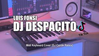 DJ Despacito Tik Tok Remix Terbaru 2022 DJ Cantik Remix