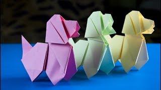 Easy way to make a paper Dog   Origami Dog