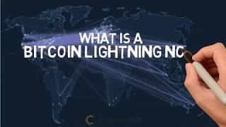 What are lightning nodes?