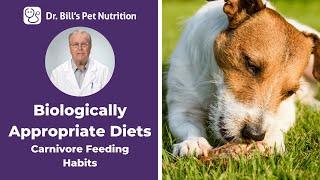 Carnivore Feeding Habits  Biologically Appropriate Diets  Dr. Bills Pet Nutrition