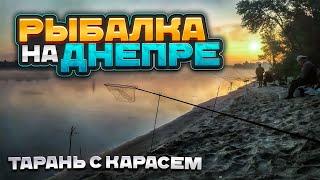 РЫБАЛКА на ДНЕПРЕ - ТАРАНЬ с КАРАСЕМ