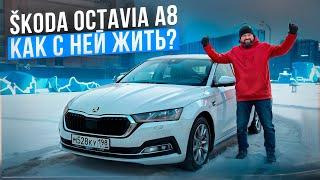 SKODA OCTAVIA A8 2.0 отзыв владельца гарантия и сервис в 2024 году