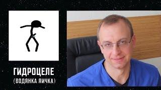 ГИДРОЦЕЛЕ или ВОДЯНКА ЯИЧКА. Уролог андролог сексопатолог Алексей Корниенко.