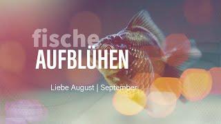 Fische Liebe August  September Aufblühen