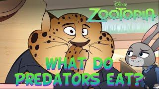 Zootopia Shots What do Predators eat?