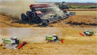  Romania 2024 -  NEXAT  5x CLAAS Lexion 8800 CLAAS Lexion 770  FENDT  IDEAL 10T 