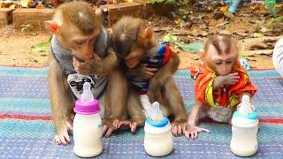 Most Admirable Mom Teach Three Babe Sit In Orderly Wait To Get Milk Three Babe Well Manner Wait Mom