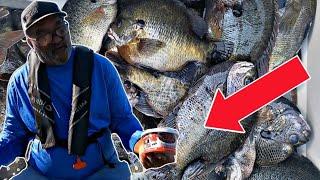 Catch Tons Of Bluegill Using These Simple Tips And Tricks