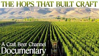 The hops that built craft beer – a documentary  The Craft Beer Channel