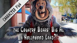 Character Fun - The Country Bears’ Big Al in Hollywood Land?