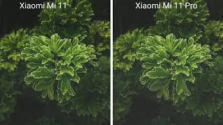 Xiaomi mi 11 vs iphone 12 Pro max camera comparison