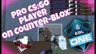Counter Blox - Pro CSGO Player Tries CB INSANE