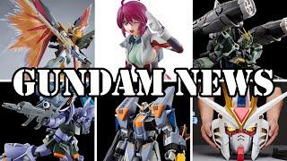 Seed Gunpla Survey MG Destiny Heine RG Blast Impulse Next G Metal Build? And More Gundam News