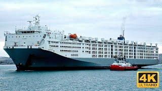 Life On Worlds Largest Livestock Carrier