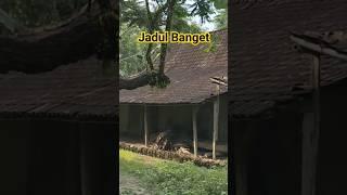 kangen jaman dulu di desa