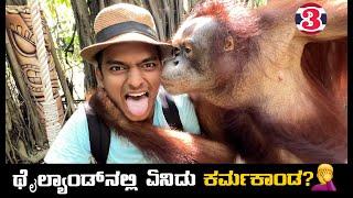 ಬೇಕಿತ್ತಾ ಇದು ನನಗೆ..  Orangutan‍️  Thailand Kannada vlog  Dr Bro