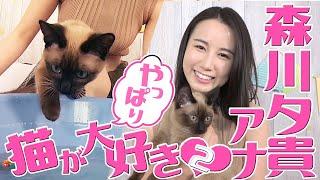 【森川夕貴アナ】飼い主＆オリちゃん大興奮のスーパーネコおもちゃとは?【やっぱり猫が大好き】