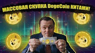 28 МИЛЛИАРДА Dogecoin DOGE ЗА 24 ЧАСА СКУПЛЕННЫЕ КИТАМИ ЧТО ПРОИСХОДИТ?