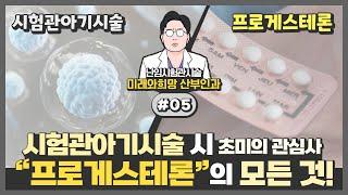 프로게스테론이 대체 뭐길래? 시험관시술에서 중요하다는거죠?