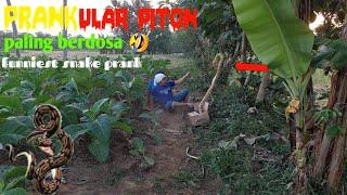 Vidio lucu PRANK ULAR PITON paling berdosa  asli lucu dijamin ngakak abis funniest snake prank