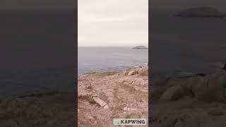 Brief POV of Cliffs overlooking the ocean at Landfall Park in Bona vista Newfoundland  #pov #hike