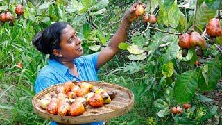 Today I am making a special Chicken Devil that will treat guests to cashews .village kitchen recipe