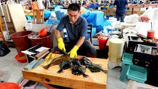 전설이라 불리는 칼잡이 종이 썰듯 회 썰어내는 스킬  전어 장어 광어 도다리  Fish cutting master  Korean sea food