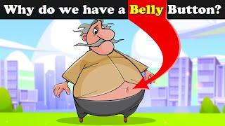 Why do we have a Belly Button? + more videos  #aumsum #kids #science #education #whatif