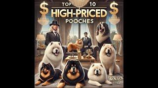 Top 10 High-Priced Pooches