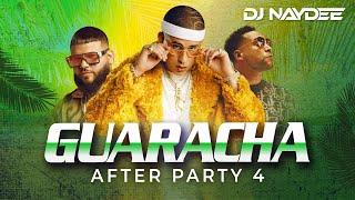 Farruko Bad Bunny Karol G Don Omar  Guaracha Mix 2022   After Party 4 By Dj Naydee