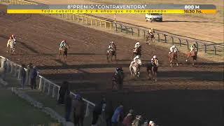 Hipódromo de Tandil en vivo  - 27 de Junio  2024