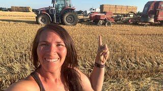 1 Baler .. 1 Baron ....  5000 bales of straw in 1 day  Wheat Straw 2024  #femalefarmer