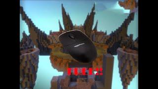 I PLAYED SKYWARS WITH A FREE MOUSE