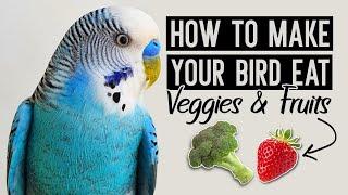 How to Make Your Bird Eat Fruits & Vegetables