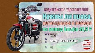 Разрешена ли езда без прав на мопеде Альфа 499? Регистрация и номера на мопед и скутер в РФ