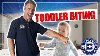 How To Stop Toddler Biting  Dad University