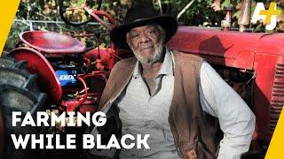 Why Are All The Black Farmers Vanishing?