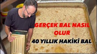 40 YILLIK HAKİKİ BAL GÖRDÜNÜZ MÜ?