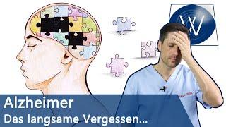 Alzheimer das langsame Vergessen von immer mehr Menschen Ursache  Symptome  Therapie bei Demenz