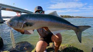 POPPING for GIANT Bluefish