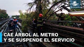 ¡Lo que faltaba Árbol cae en vías del Metro y afecta el servicio