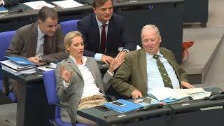 AFD VS. GUTMENSCHEN Rechtspopulisten wollen Flüchtlingsbürgen bluten lassen