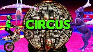 Circus Show 2023 Spectacular  Motorcycles in Globe  Arabian Horses  Clowns  and Much More...