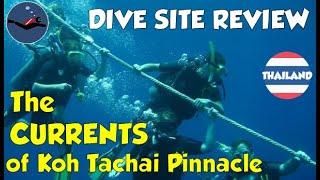 Koh Tachai Pinnacle Thailand  Strong currents but great marine life