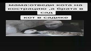 Мама отведи кота на кастрацию а брата в садик что то пошло не так