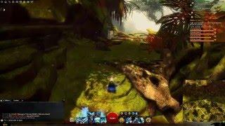 GW2 HoT - Auric Basin POI - Bramble Plateau WITHOUT meta event done