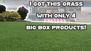 You only NEED 4 products to easily have a beautiful green lawn. Basic lawn care tips on a budget