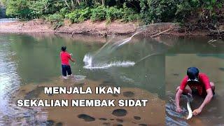 JALA IKAN SEKALIAN TEMBAK SIDAT BERSARANG DI TEMPAT MANDI WARGA ‼️